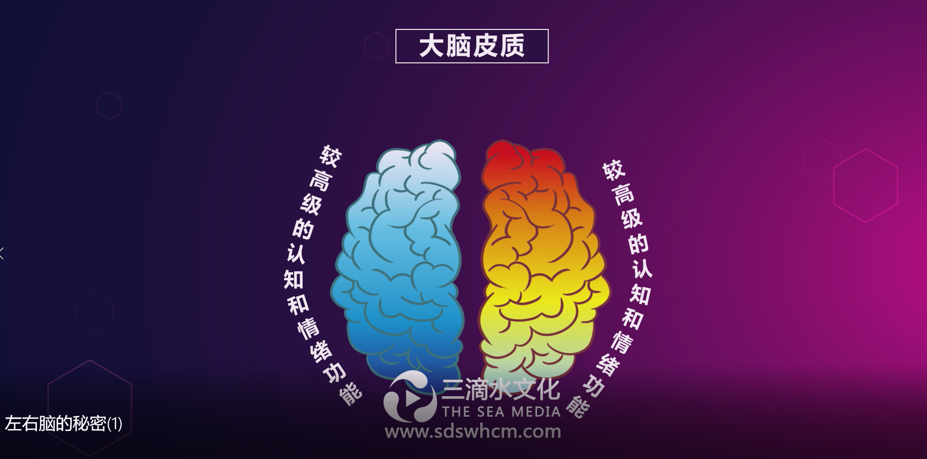 mg動畫的出現(xiàn)引領(lǐng)了新一輪營銷方式